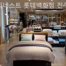 코지네스트전주점 | 전주가구점 코지네스트 롯데백화점 전주점 가성비 좋은 가구 추천