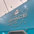 이거삼 | 엄청 늦어버린 젤리캣 팝업스토어 후기