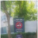 진버들공원 이미지