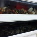 나루터연화 이미지