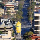 지혜의 나무 이미지