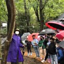 거제자연휴양림 이미지