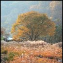 우물가빨래터 이미지