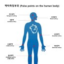 용인대 동양합기도 이미지