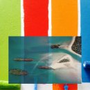 금갑해수욕장 | 10월쯤 금갑해수욕장 방문 후기