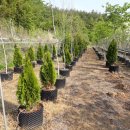 미소농장 이미지