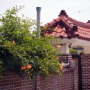 쌍내경로당 이미지