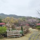 동변로 23길 | 청도카페, 갤러리해브, 벚꽃구경, 어바웃샤브 동서변점, 뷰인마인드