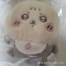 돈 있냐고? 민생소비쿠폰이 다야 [ 치이카와 마켓 직구 후기 ]