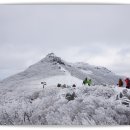 24년12월24일 982차 눈꽃산행 광주 무등산 이미지