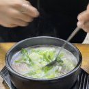 태릉설렁탕 | 공릉역 맛집 | 더글로리 촬영장소 태릉설렁탕 본점 솔직후기! 내돈내산