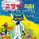 멋진 고양이 이미지