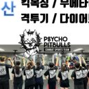 싸이코핏불스구서