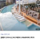 64 | 부산 클럽디 오아시스 최대 64퍼 할인 해운대 워터파크 라이브 특가 정리