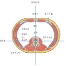 타이트짐 이미지