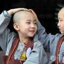 내머리어때 이미지