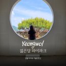 영월 아이와 가볼만한곳｜젊은달 와이파크 전시 관람 후기
