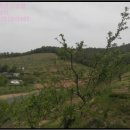 옥성2리마을회관 이미지