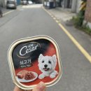 역말주막 | [천안] 단국대 천안 술집 <역말주막> 내돈내산 후기