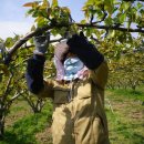 송전산방 이미지