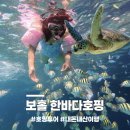 율스짐 | [필리핀/보홀]발리카삭 한바다호핑 예약할래말래!? 내돈내산 호핑투어 후기