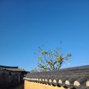 영감댁민박 이미지