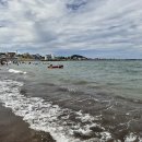 샛도리물 이미지