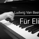 엘리제를 위하여 이미지