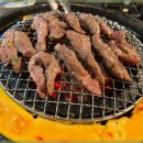 신마포갈매기 이미지