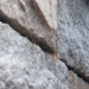 서울종합행정사LK사무소 이미지