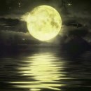 청춘고백 이미지