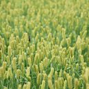 장연생태공원 이미지