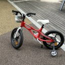 🚲로얄베이비 스페이스셔틀 3년 실사용 후기!