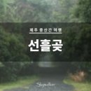 선흘스카이