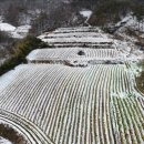 썬파워태양광발전소 이미지