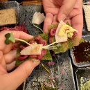 세븐일레븐 평택청북안청로점 | [평택/청북] 육회•육사시미 맛집 육회말투아웃 청북점 방문 후기