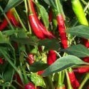 엠스타일 이미지