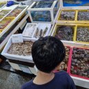 쉘부르황토펜션 이미지