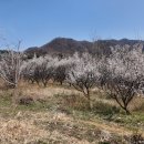 곡성농장 이미지