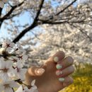 희블링네일 티스토리