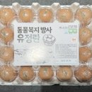 미래팜스 이미지