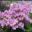 임상호농장 이미지