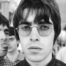 오아시스 이미지