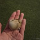 몽산포파인 | 태안펜션 추천 밀키블루펜션 | 청포대 바다앞 커플여행&amp;해루질(개별바베큐 가능)