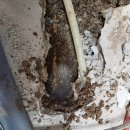 구월3동-9 이미지