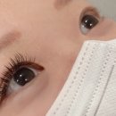 우연히래쉬