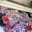 월포자연산횟집 이미지