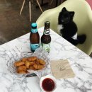 멍브라더 애견카페 이미지