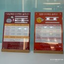 2697 | 청라두피스케일링 셀비오 후기 &amp; 두피 관리 꿀팁