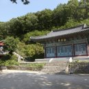봉서사 Daum카페